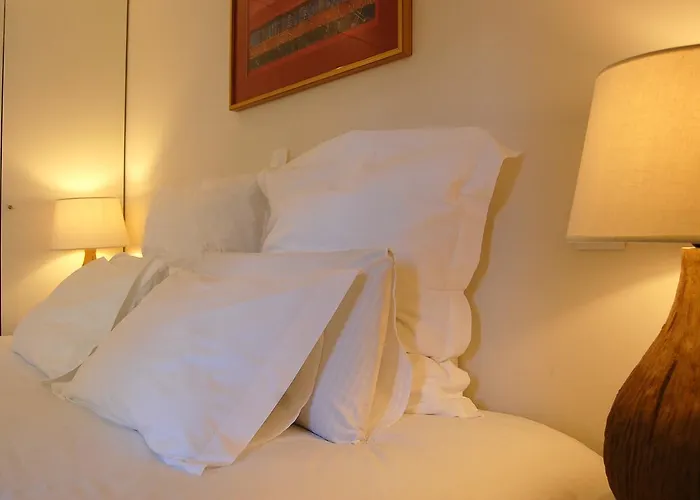 托普弗兰特酒店 *